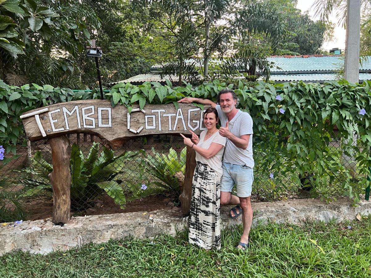 Tembo Lodge
